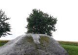 20160717 134725