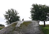 20160717 134737