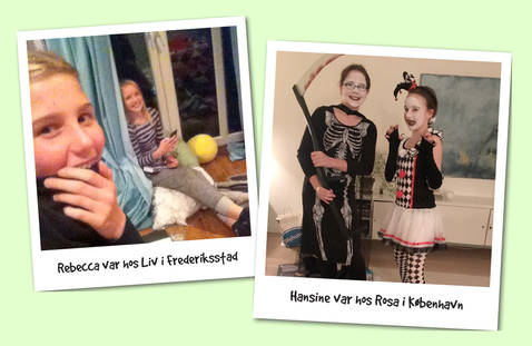 Elevudvekslingen 2015_Hansine og Liv_Flensborg Avis